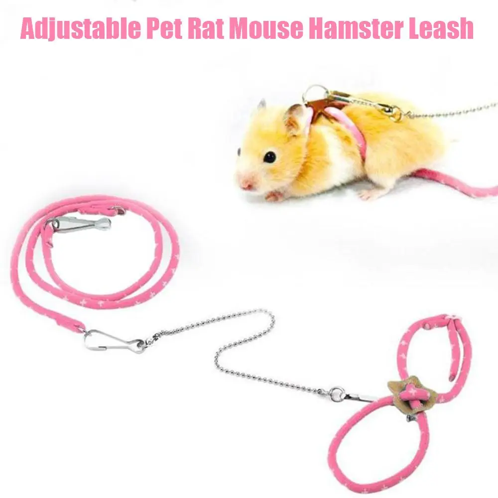 Cute Adjustable Nylon Rope Gerbil With Bell Ferret Walking Lead Pet Supplies Mouse Vest Hamster Leash
Cute Adjustable Nylon Rope Gerbil With Bell Ferret Walking Lead Pet Supplies Mouse Vest Hamster Leash