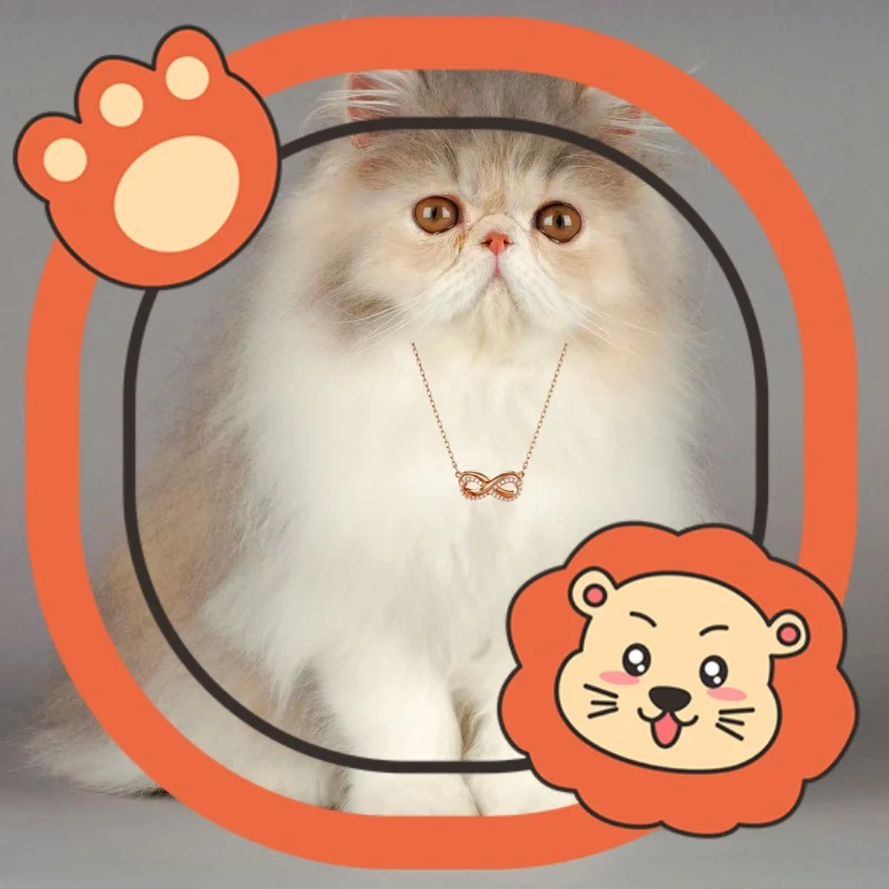 2025 Cat Accessories New Style Heart Crystal Necklace Double Ring Cross Light Luxury Ladies Party Premium Accessories
2025 Cat Accessories New Style Heart Crystal Necklace Double Ring Cross Light Luxury Ladies Party Premium Accessories