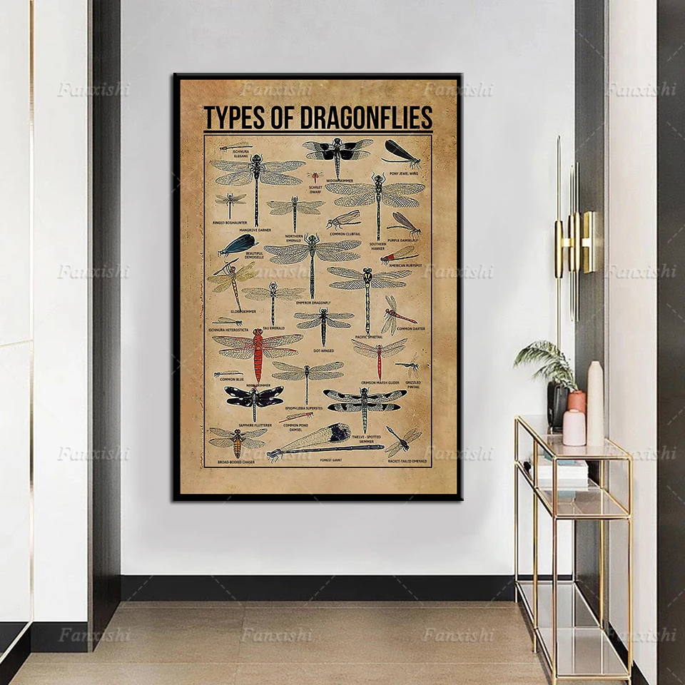 Types Of Dragonflies Framed Poster Vintage Wall Art Decor, Dragonfly Knowledge Poster Dragonfly Lover Gift Print Canvas Painting
Types Of Dragonflies Framed Poster Vintage Wall Art Decor, Dragonfly Knowledge Poster Dragonfly Lover Gift Print Canvas Painting