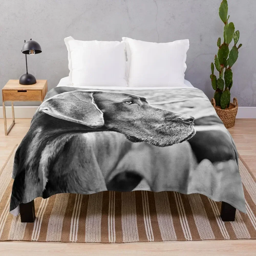 Blue Black Great Dane Throw Blanket halloween Giant Sofa heavy to sleep Bed Fashionable Blankets
Blue Black Great Dane Throw Blanket halloween Giant Sofa heavy to sleep Bed Fashionable Blankets