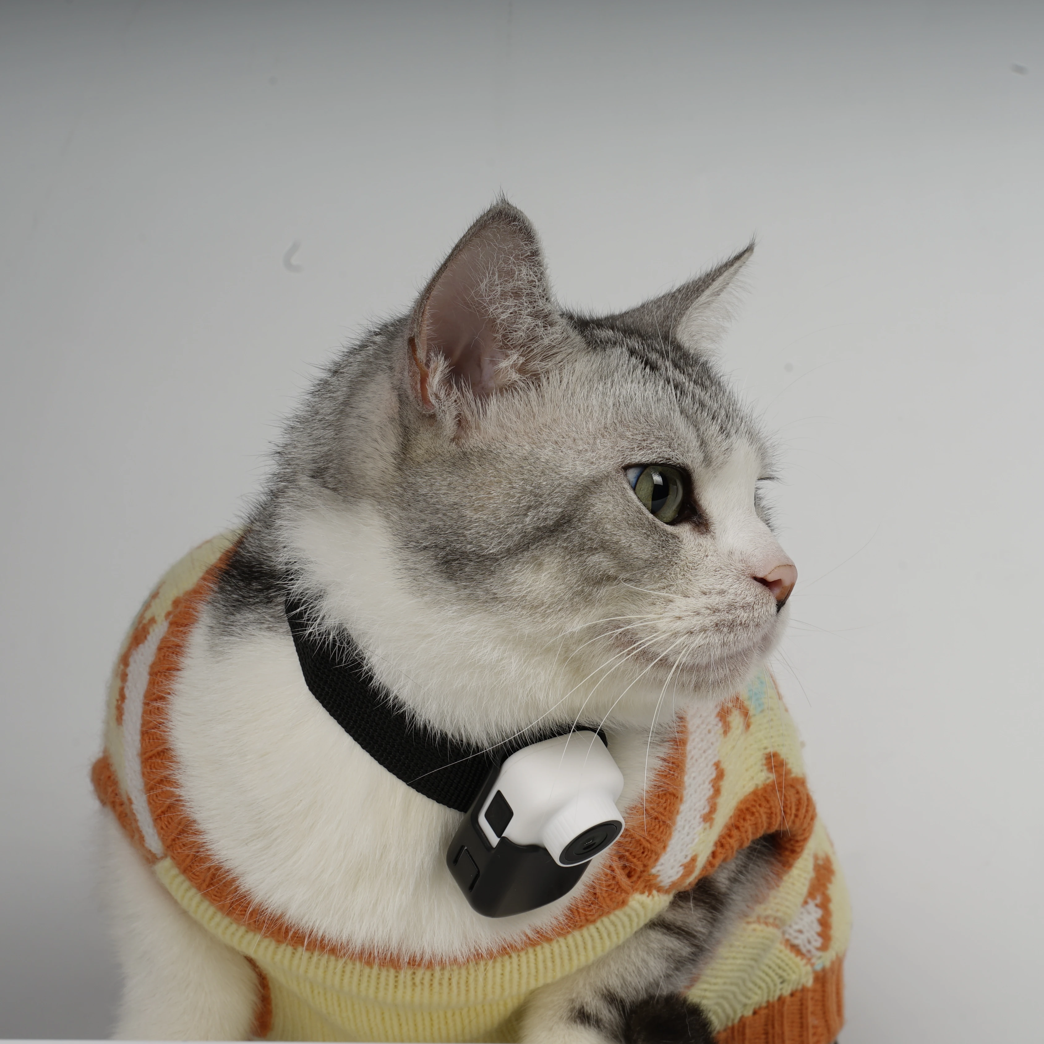 OEM Custom New Waterproof Electric Smart Pet Cat Dog Finder Breakaway GPS Tracker Collar 4G Wifi Tracking Device Voice Call
OEM Custom New Waterproof Electric Smart Pet Cat Dog Finder Breakaway GPS Tracker Collar 4G Wifi Tracking Device Voice Call