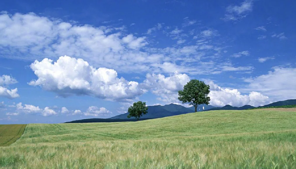 iFlight XING2 2205 2300KV/2450KV/3200KV 4-6S FPV мотор Unibell с валом 5 мм для детали FPV
iFlight XING2 2205 2300KV/2450KV/3200KV 4-6S FPV мотор Unibell с валом 5 мм для детали FPV