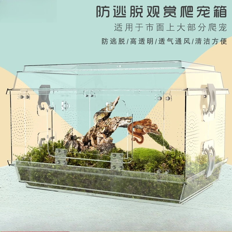 Snake special box, reptile box, climbing pet ecological tank, turtle, scorpion, palace guard, lizard, horned frog landscaping, 
Snake special box, reptile box, climbing pet ecological tank, turtle, scorpion, palace guard, lizard, horned frog landscaping,