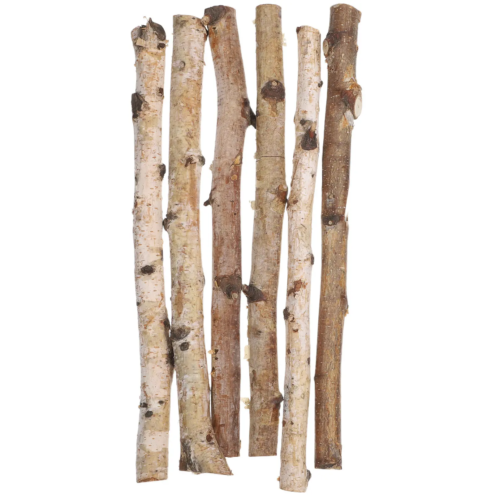 6Pcs Natural Birch Wood Sticks Dry Lightweight Branches for DIY Crafts Wood Crafting Decoration Photo Props Flower Arrangements
6Pcs Natural Birch Wood Sticks Dry Lightweight Branches for DIY Crafts Wood Crafting Decoration Photo Props Flower Arrangements