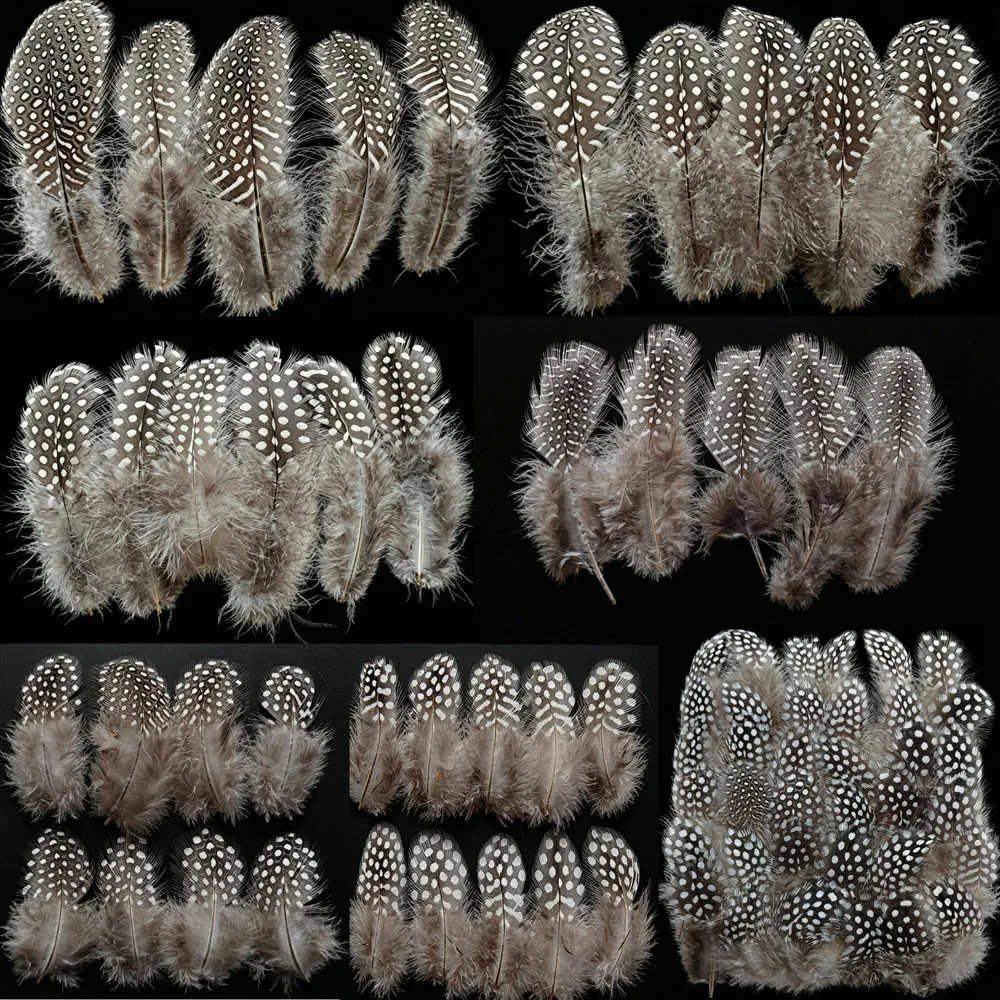 500Pcs 5-15cm NATURAL Guinea Fowl Feathers Real Feathers Spotted Loose Natural Feathers For Crafts With White Big Polka Dots
500Pcs 5-15cm NATURAL Guinea Fowl Feathers Real Feathers Spotted Loose Natural Feathers For Crafts With White Big Polka Dots
