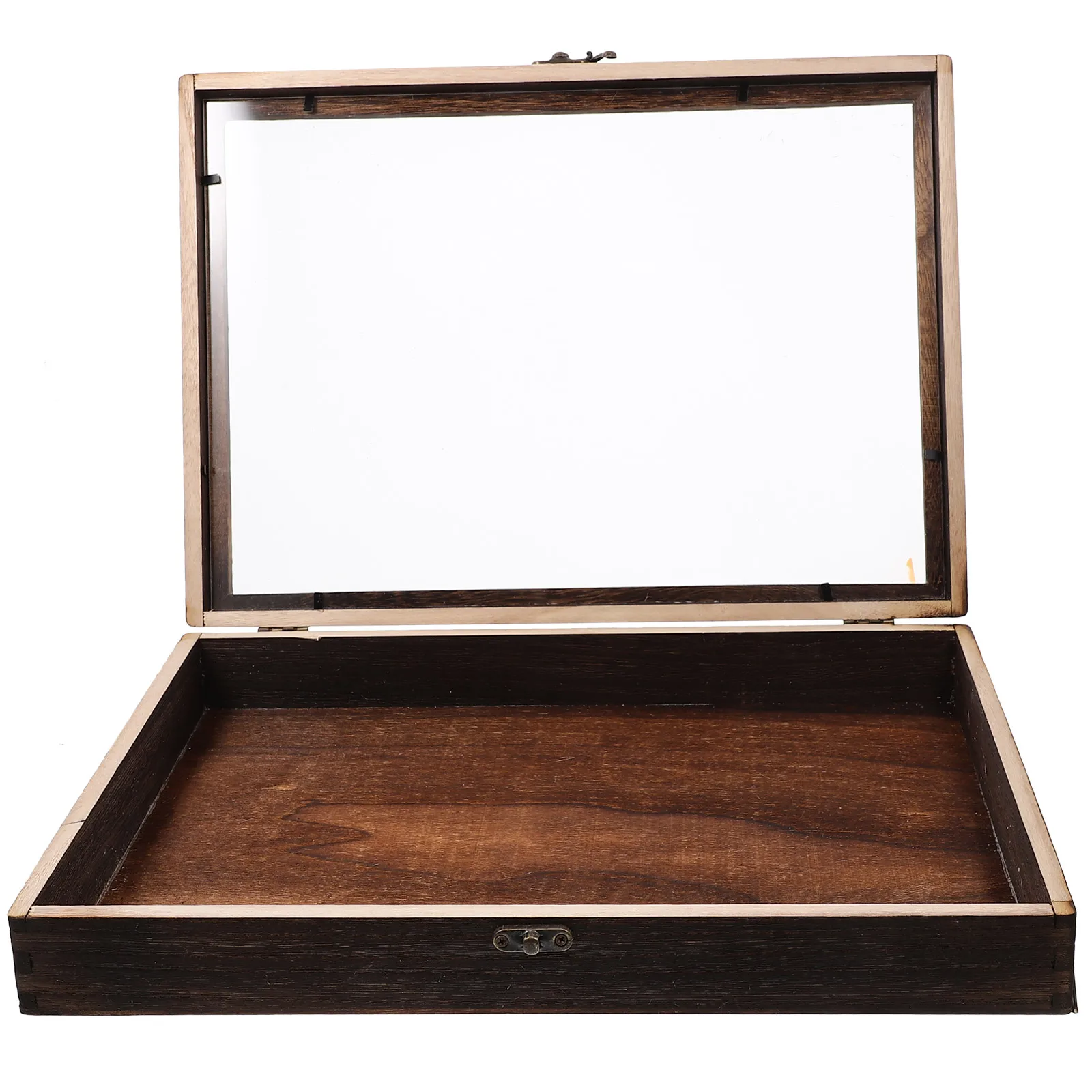 Specimen Display Box Wooden Case Vintage Butterfly Insect Frame Clear Lid Storage Container A4 Size Practical
Specimen Display Box Wooden Case Vintage Butterfly Insect Frame Clear Lid Storage Container A4 Size Practical