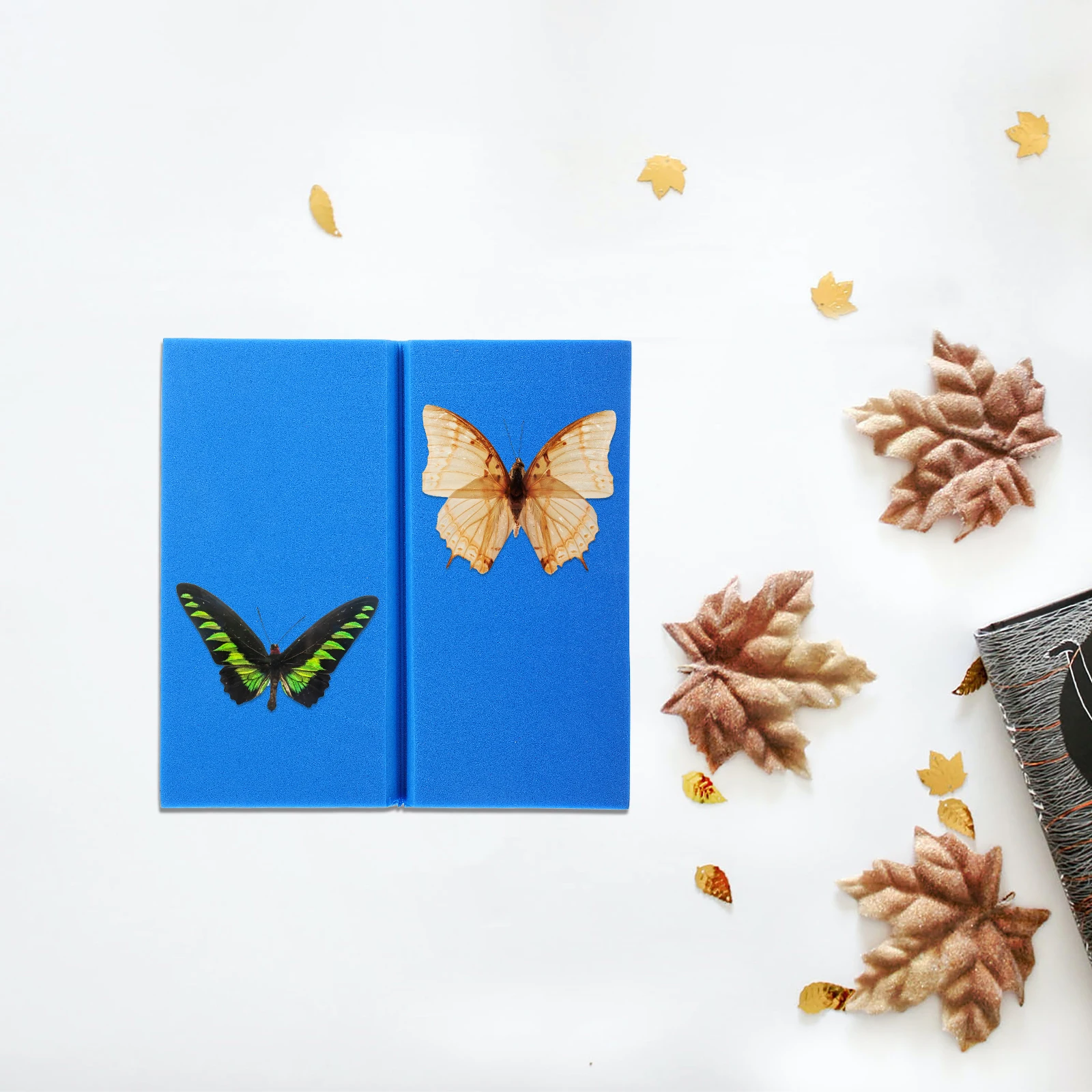 EVA Foam Butterfly Spreading Board Insect Mounting Tool Specimen Display Kit High Density Compact for Beginners
EVA Foam Butterfly Spreading Board Insect Mounting Tool Specimen Display Kit High Density Compact for Beginners
