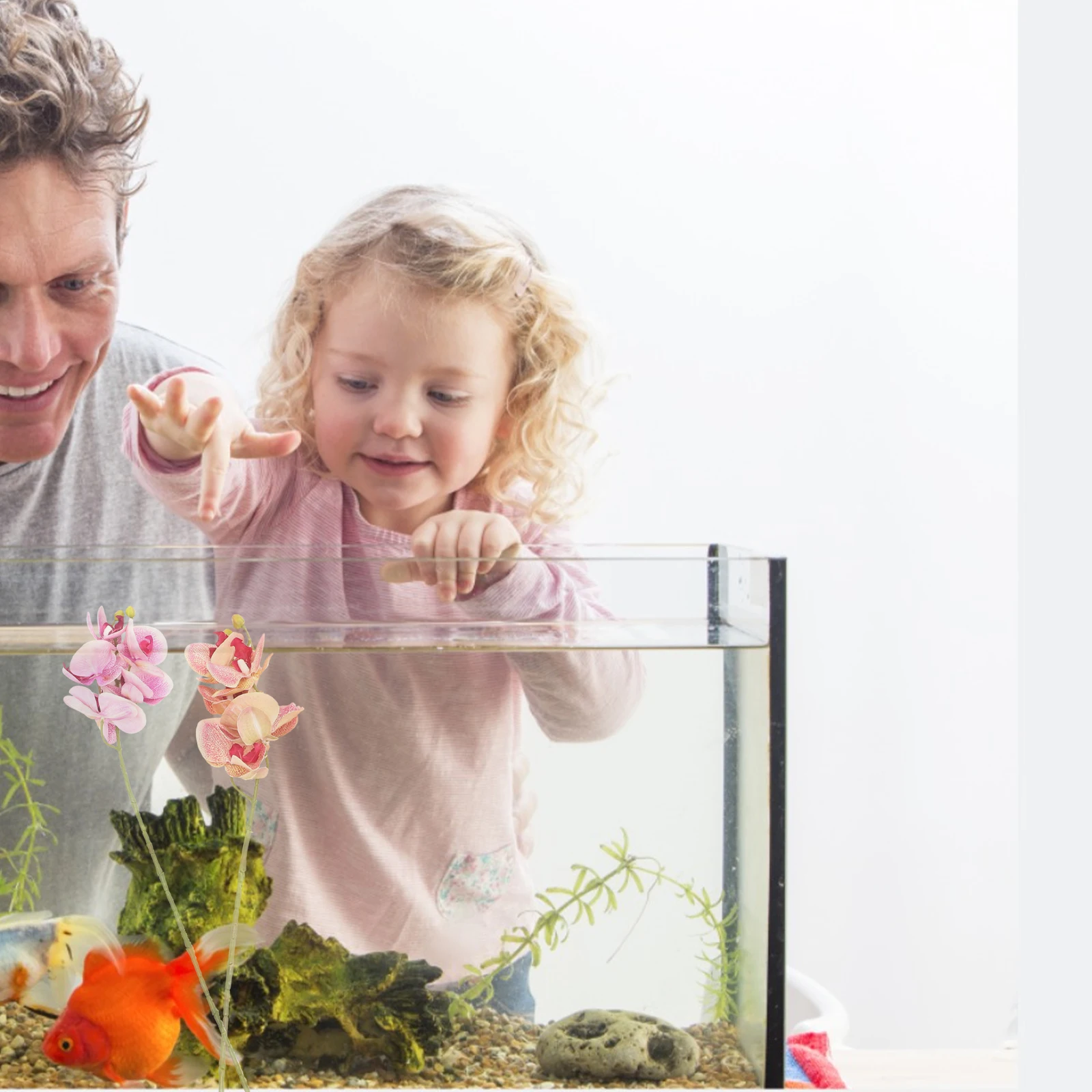 4pcs Simulated Plants Artificial Terrarium Plant Decors Fake Reptile Plants For Turtle Tank Fish Aquarium Terrarium Landscape
4pcs Simulated Plants Artificial Terrarium Plant Decors Fake Reptile Plants For Turtle Tank Fish Aquarium Terrarium Landscape