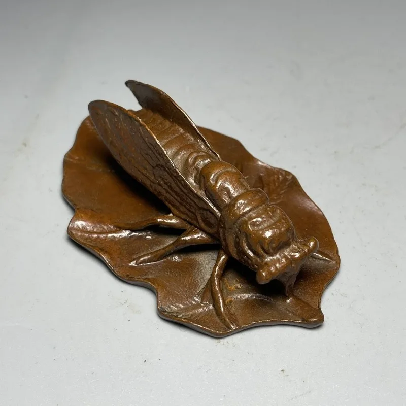 flying insect Statue Cicada Statue Office Home Decor Gift for Desk Ornament
flying insect Statue Cicada Statue Office Home Decor Gift for Desk Ornament