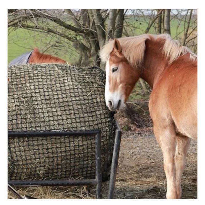 2025 Slow Feed 1.5x1.5 Inch Holes 40 Inches Hay Net for Horses and Livestocks
2025 Slow Feed 1.5x1.5 Inch Holes 40 Inches Hay Net for Horses and Livestocks