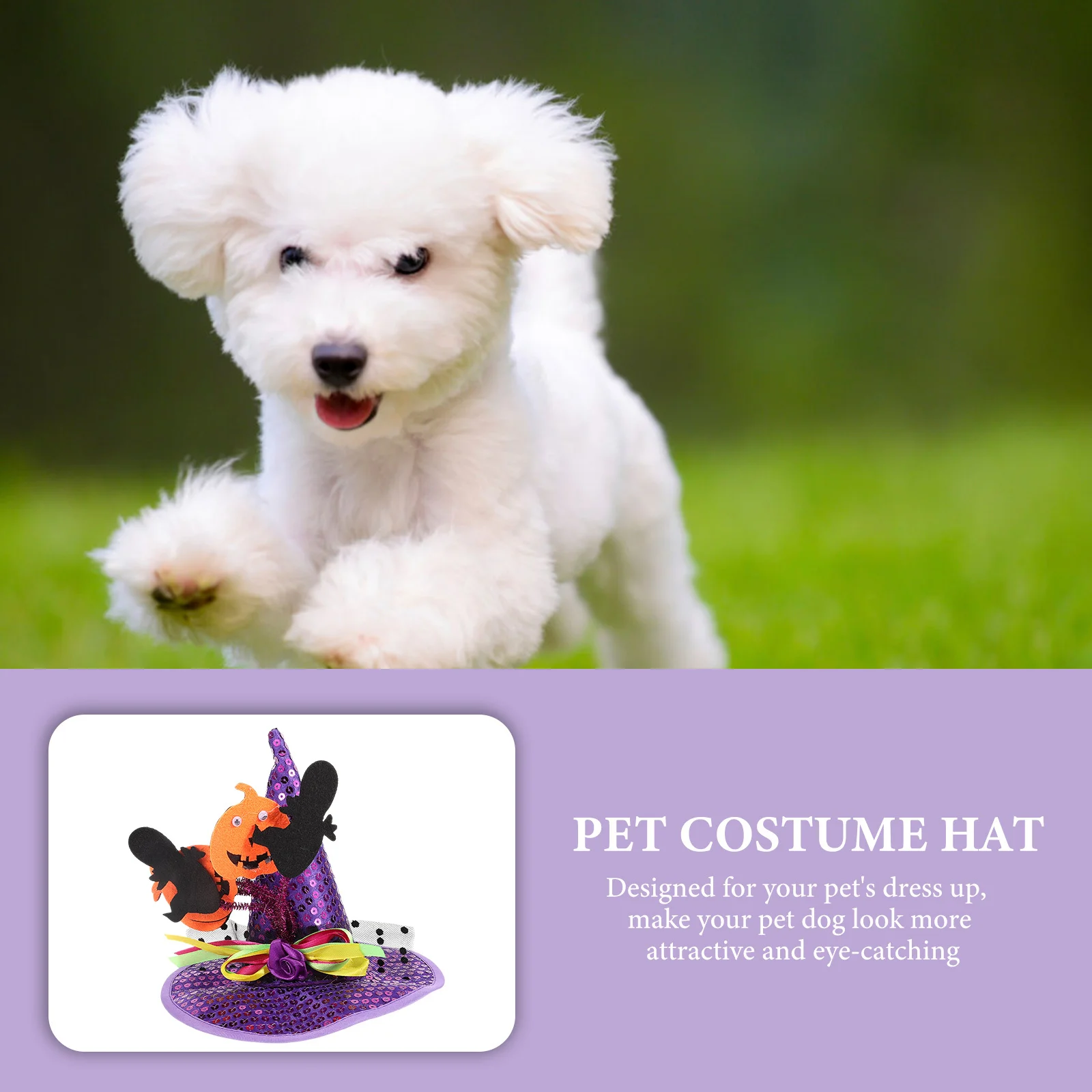 1pcs Halloween Pet Hat For Cats Small Dogs Witch Headdress Party Costume Accessory Pet Headwear Decorative Halloween Hat
1pcs Halloween Pet Hat For Cats Small Dogs Witch Headdress Party Costume Accessory Pet Headwear Decorative Halloween Hat