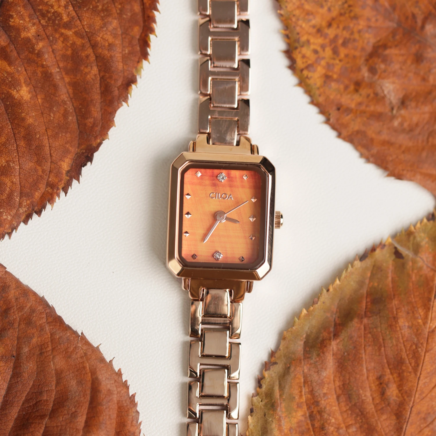 CILOA New Women's Fashionable Retro Light Luxury Waterproof Quartz Watch
CILOA New Women's Fashionable Retro Light Luxury Waterproof Quartz Watch