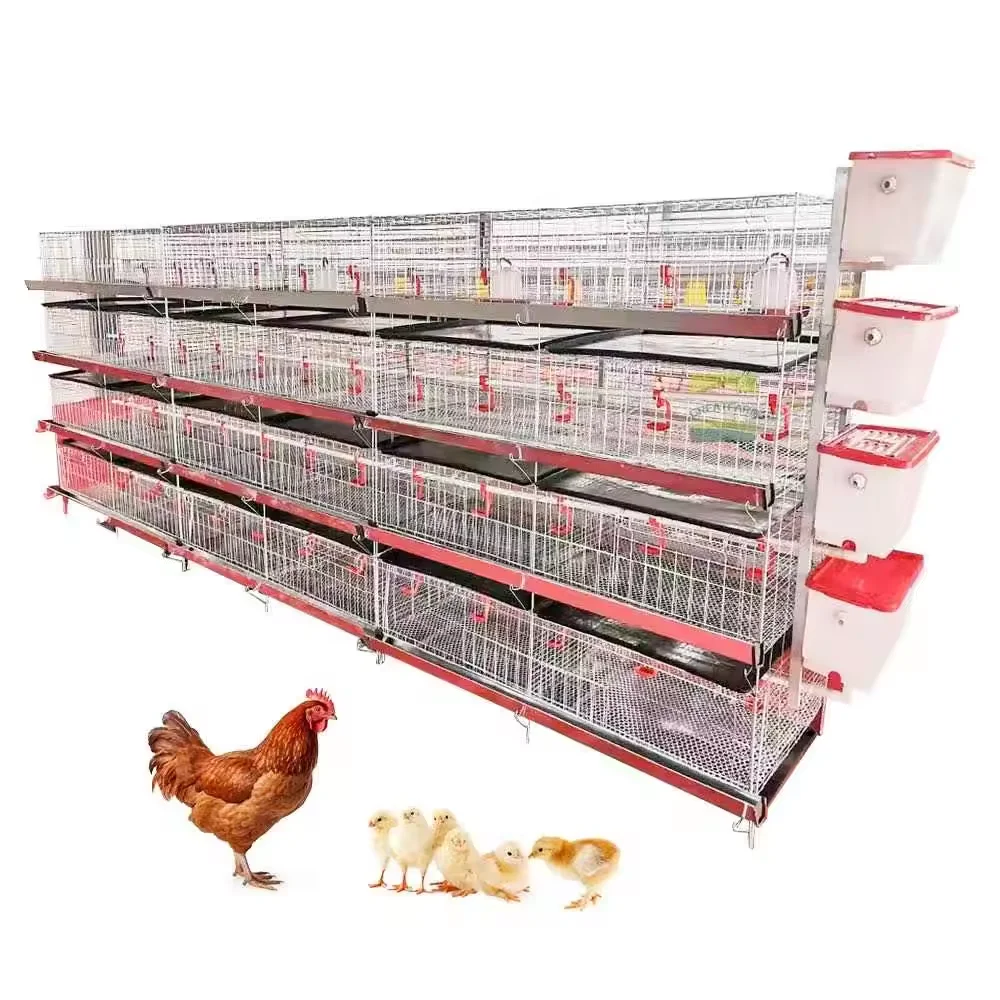 New Product 3ply/4ply Hold 90/120 Chicken Automatic Pullet Chick Cage Chicken Nesting Chicken Farming Poultry Cages
New Product 3ply/4ply Hold 90/120 Chicken Automatic Pullet Chick Cage Chicken Nesting Chicken Farming Poultry Cages