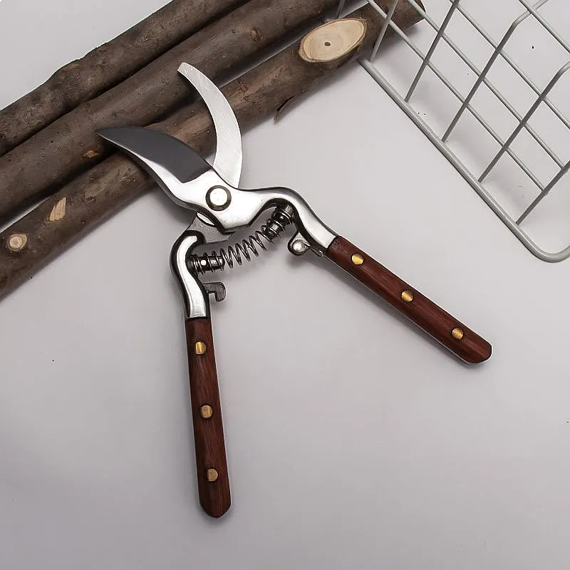Professional Heavy Duty Pruning Shears for Tree Branches Garden Fruit Picking Scissors
Professional Heavy Duty Pruning Shears for Tree Branches Garden Fruit Picking Scissors