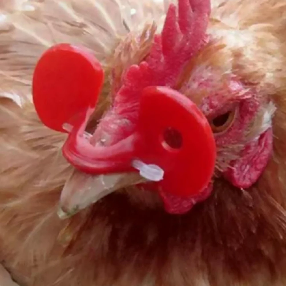 150 Pcs Chicken Glasses Anti Pecking Eyeglasses Durable Plastic Hen Rooster Protective Poultry Tools Long Lasting Farm Use
150 Pcs Chicken Glasses Anti Pecking Eyeglasses Durable Plastic Hen Rooster Protective Poultry Tools Long Lasting Farm Use
