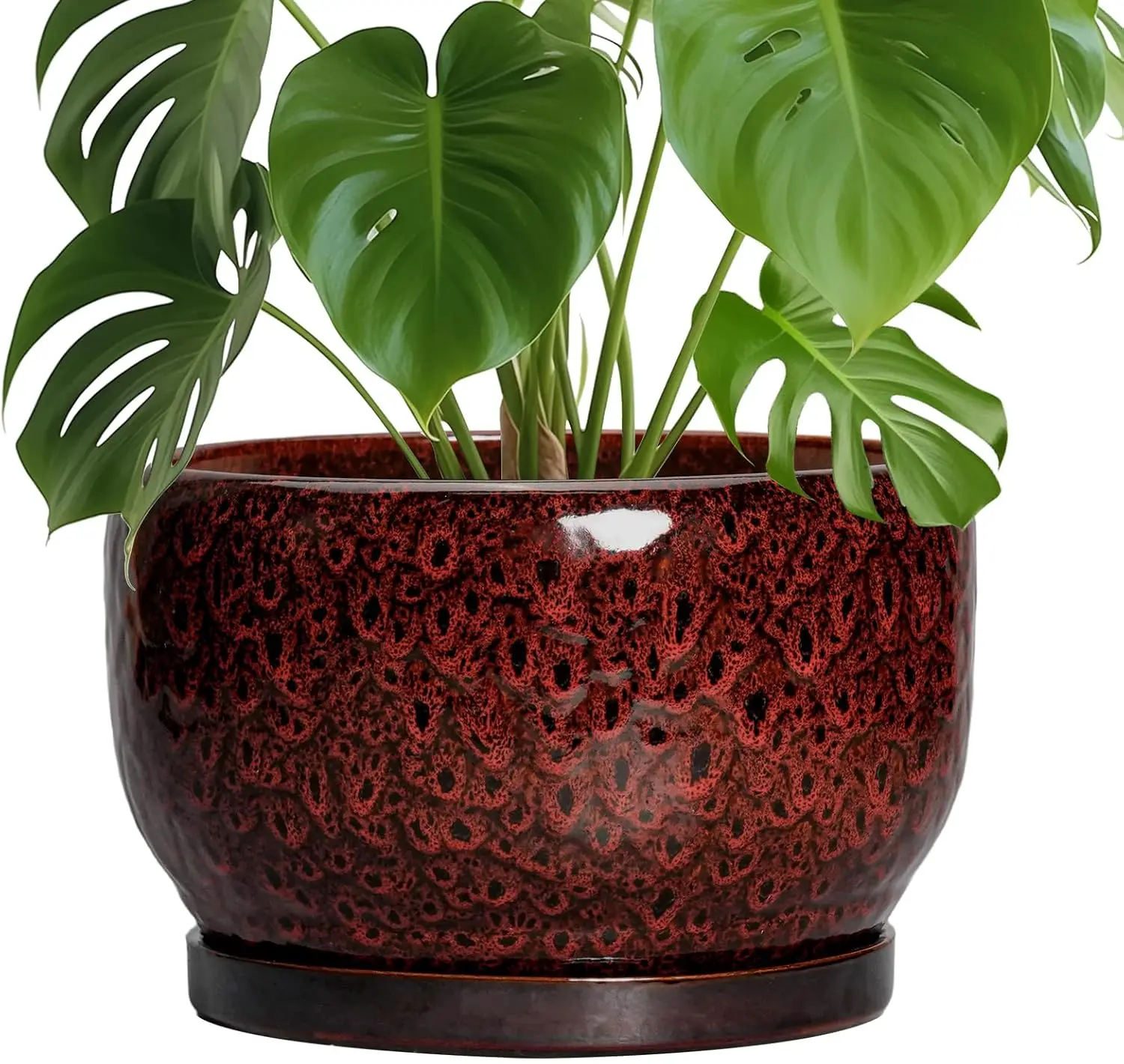 10 Inch Ceramic Plant Pot with Drainage Hole and Saucer, Red Glazed Planter for Indoor Outdoor Decor, Gifts for Plant Lovers
10 Inch Ceramic Plant Pot with Drainage Hole and Saucer, Red Glazed Planter for Indoor Outdoor Decor, Gifts for Plant Lovers