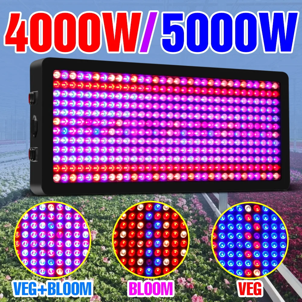 5000W LED Grow Light LED Lamp For Plants Full Spectrum Lights Greenhouse Hydroponics Phyto Growth Light Bulb 2000W 3000W 4000W
5000W LED Grow Light LED Lamp For Plants Full Spectrum Lights Greenhouse Hydroponics Phyto Growth Light Bulb 2000W 3000W 4000W