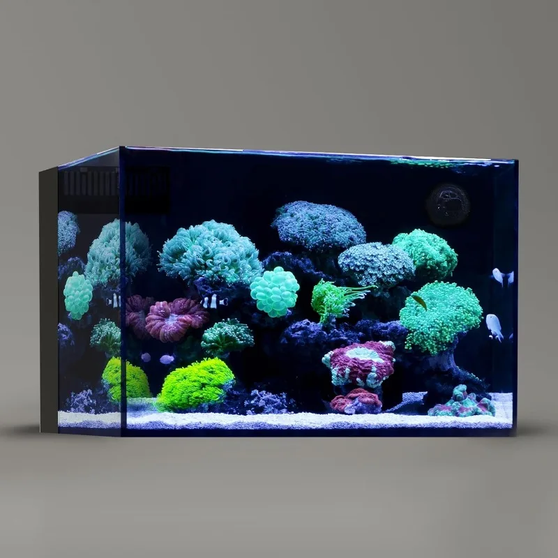 60P 26.23 Gallon Ultra Clear All Glass Rimless Low Iron Aquarium Tank 23.6Wx17.7Dx15.8H in(60x45x40cm) 8mm Thickness
60P 26.23 Gallon Ultra Clear All Glass Rimless Low Iron Aquarium Tank 23.6Wx17.7Dx15.8H in(60x45x40cm) 8mm Thickness