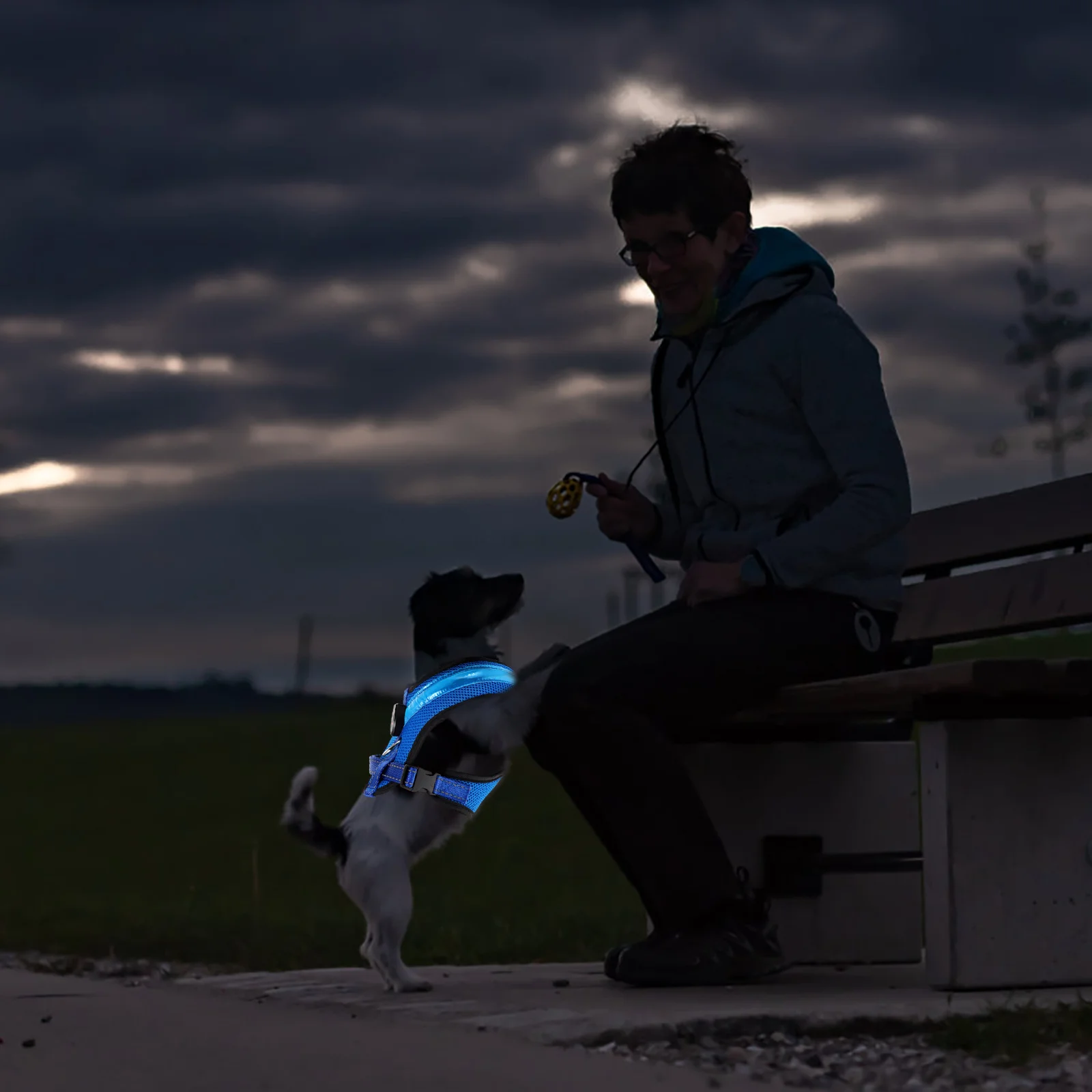 Dog Luminous Vest Large Cooling Led Reflective Running Glowing Blue High Visibility Harness 
Dog Luminous Vest Large Cooling Led Reflective Running Glowing Blue High Visibility Harness