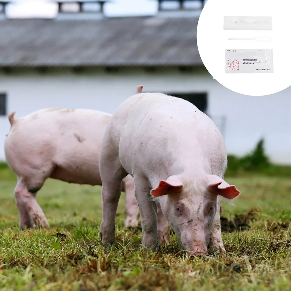 6 Sets Pregnancy Test Paper for Pigs Animal Farm Equipment Cattle Kit Reagent Waiting Plastic Early Strips Testing
6 Sets Pregnancy Test Paper for Pigs Animal Farm Equipment Cattle Kit Reagent Waiting Plastic Early Strips Testing
