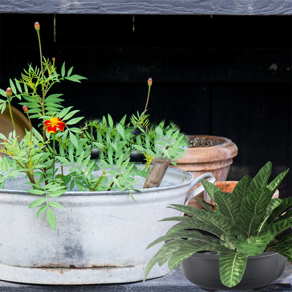 2pcs Large Flower Pot Bonsai Planter Plastic Container for Home Office Garden Balcony Decor Plant Holder with Drainage
2pcs Large Flower Pot Bonsai Planter Plastic Container for Home Office Garden Balcony Decor Plant Holder with Drainage