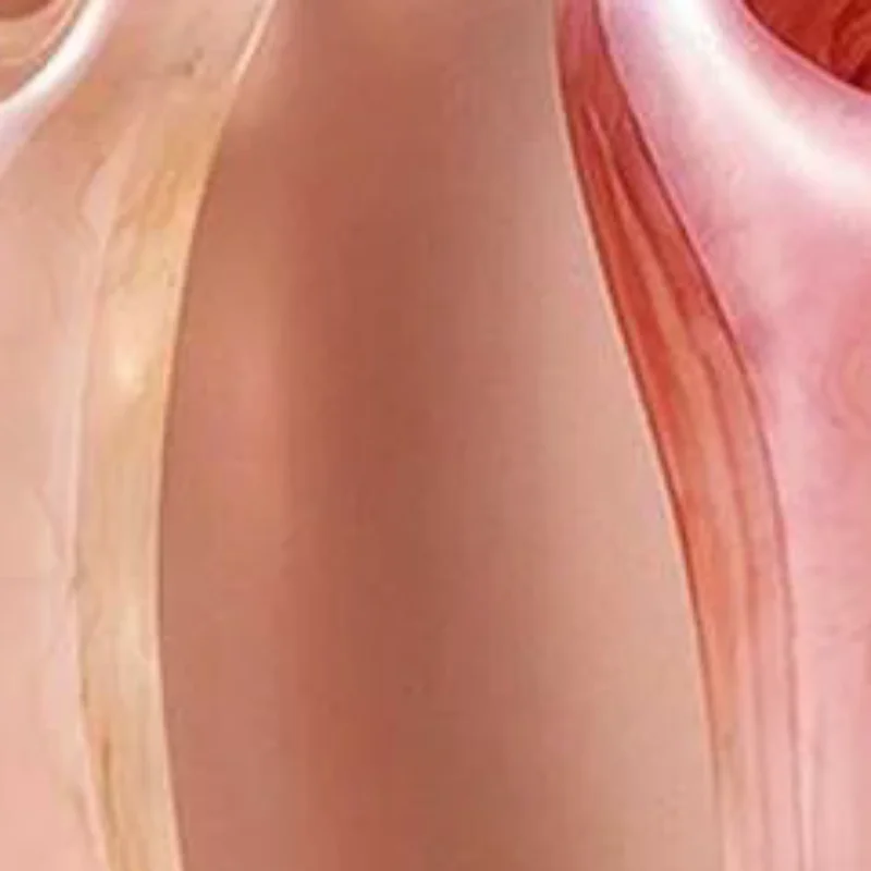 Little Dolphin Gua Sha Massage Comb Fine-Tooth Scraping Meridian Massage Comb Relaxing Resin Body Massage Comb Head Massage Tool
Little Dolphin Gua Sha Massage Comb Fine-Tooth Scraping Meridian Massage Comb Relaxing Resin Body Massage Comb Head Massage Tool