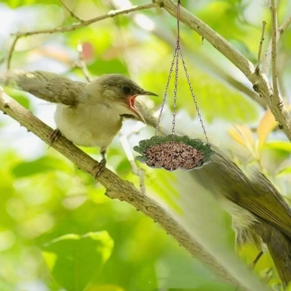 Container Iron Bird Feeder Convenient Durable Bird Hanging Food Dispenser Large Capacity Balanced Bird Feeding Dish Hummingbird
Container Iron Bird Feeder Convenient Durable Bird Hanging Food Dispenser Large Capacity Balanced Bird Feeding Dish Hummingbird