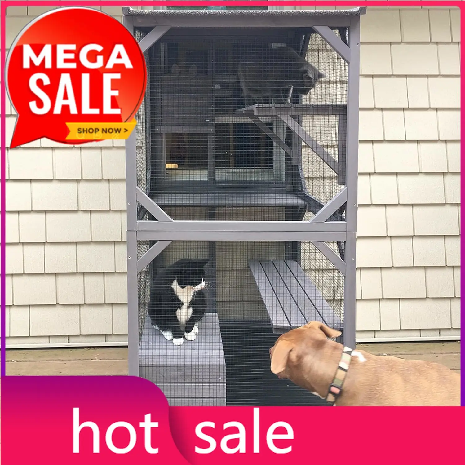 Cat House Mobile Catio for Outdoor Enclosure with Waterproof Roof Feral Cat Cage On Wheels,Bird Cage with Upgraded Resting Box,7
Cat House Mobile Catio for Outdoor Enclosure with Waterproof Roof Feral Cat Cage On Wheels,Bird Cage with Upgraded Resting Box,7