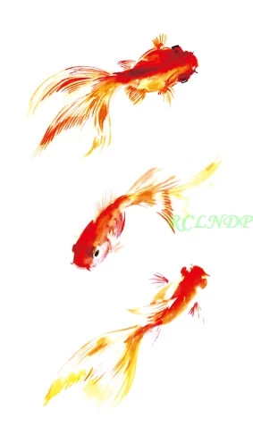 Waterproof Temporary Tattoo gold fish swimming goldfish tatto stickers flash tatoo fake tattoos for girl women
Waterproof Temporary Tattoo gold fish swimming goldfish tatto stickers flash tatoo fake tattoos for girl women