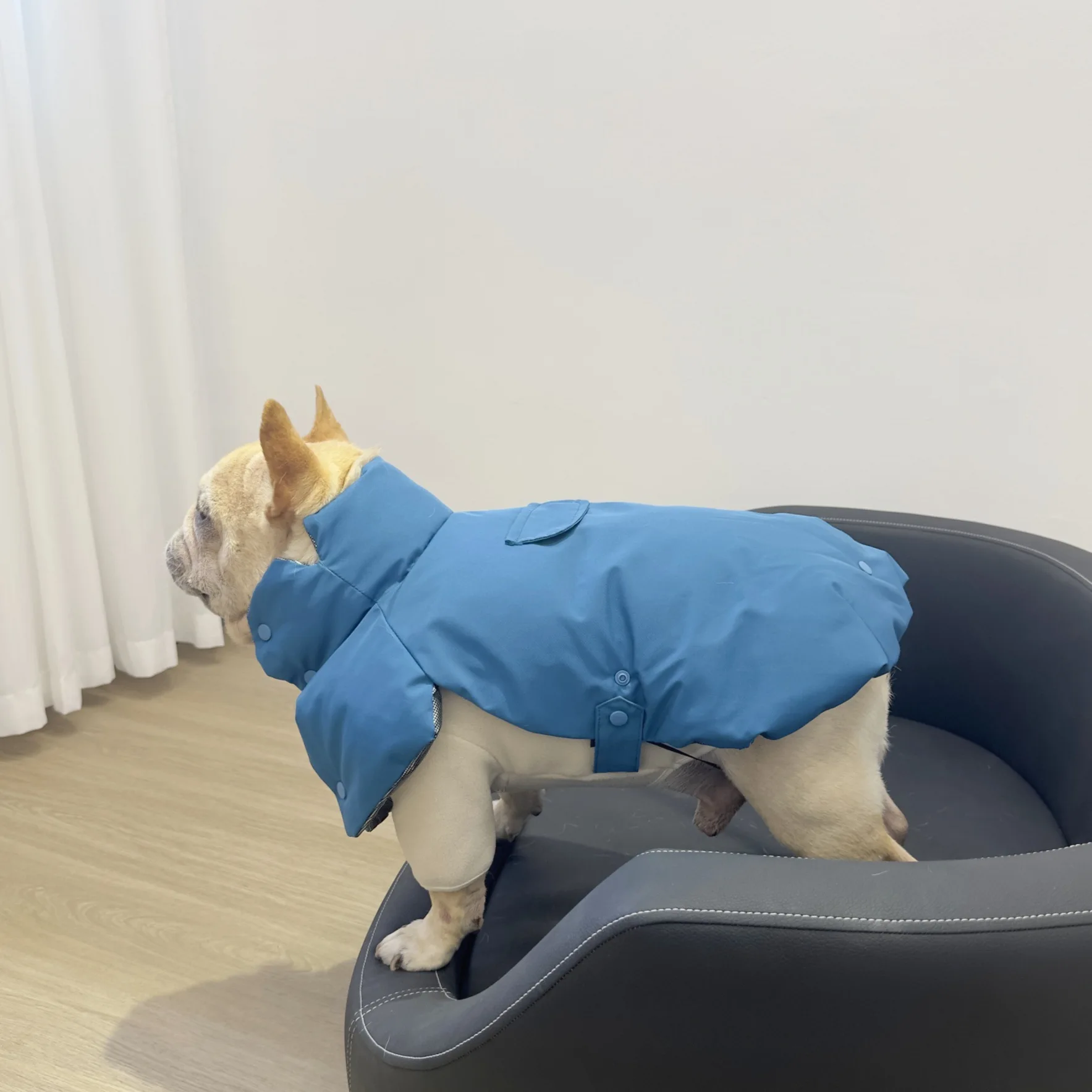 Plush Pajamas, French Dou Ying Dou Bago Fat Dog Sweater, Teddy Corgi Shiba Inu Cotton Suit
Plush Pajamas, French Dou Ying Dou Bago Fat Dog Sweater, Teddy Corgi Shiba Inu Cotton Suit