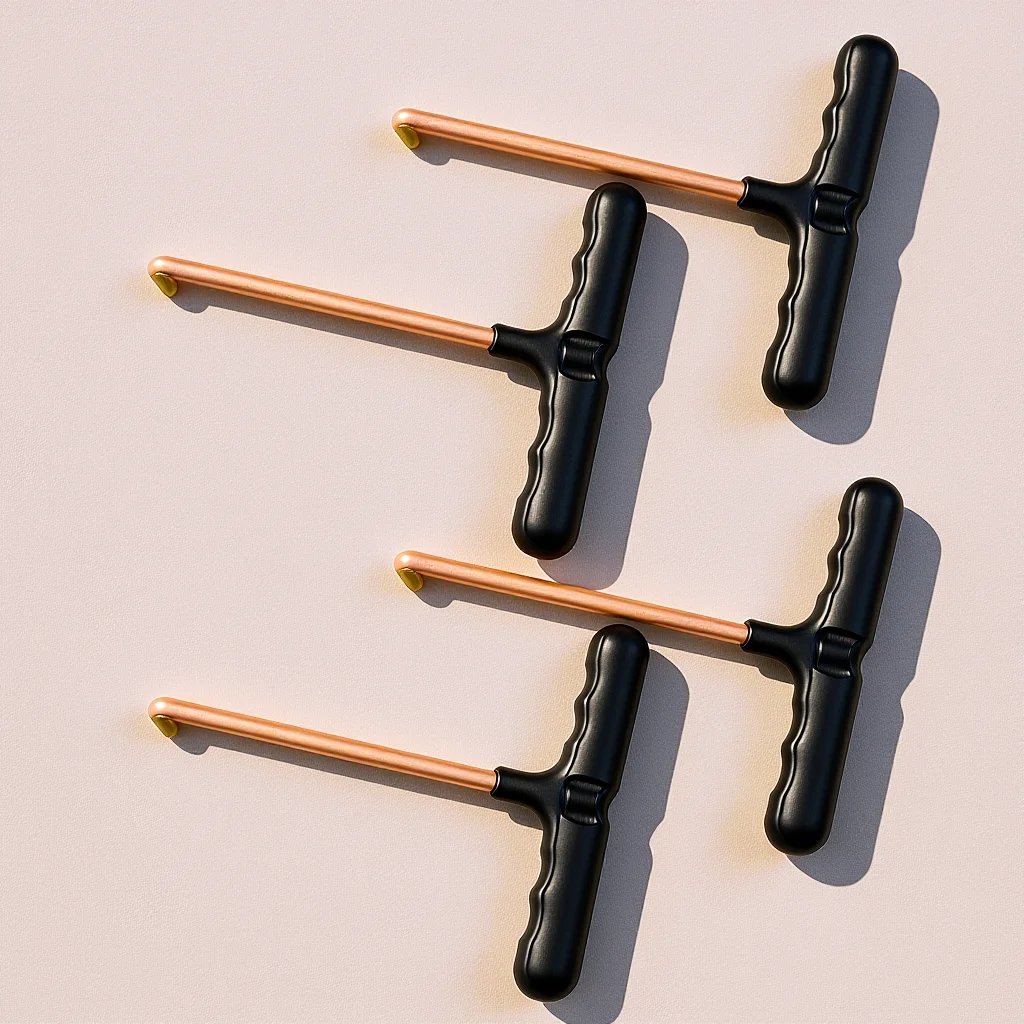 4Pcs Shoelace Tighteners Compact Ice Hockey Skate Lace Tightener Tool for Hockey Skates Figure Skate Accessories
4Pcs Shoelace Tighteners Compact Ice Hockey Skate Lace Tightener Tool for Hockey Skates Figure Skate Accessories