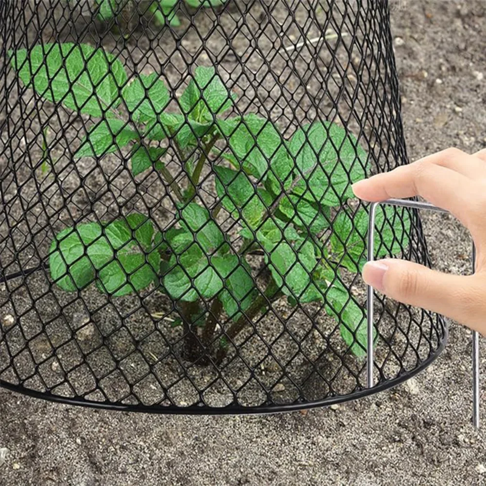 3PC Wire Cover Vegetable Protective Cage Outdoor Plant Protection Black Hard-wearing Plant Cover Outdoor Gardening
3PC Wire Cover Vegetable Protective Cage Outdoor Plant Protection Black Hard-wearing Plant Cover Outdoor Gardening