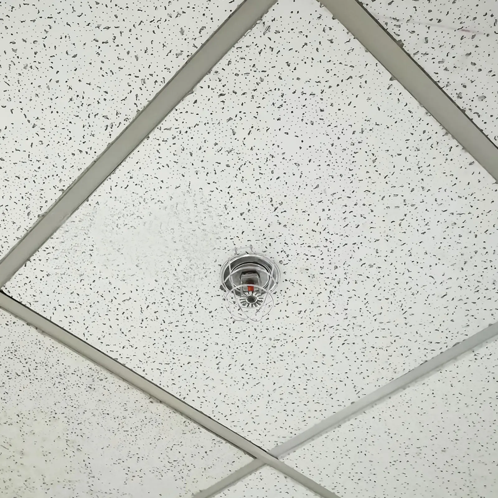 Fire Sprinkler Head Cover Metal Protective Cage For Ceiling Indoor Sprinkler Guard Flame Extinguisher Safety System Accessory
Fire Sprinkler Head Cover Metal Protective Cage For Ceiling Indoor Sprinkler Guard Flame Extinguisher Safety System Accessory