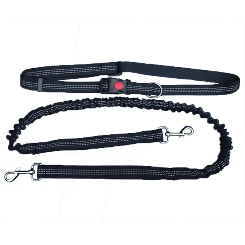 Double Stretch Pet Walking Leash Reflective Waist Belt Hand Free Dog Leash Elastic Dog Traction Rope for Dogs Cats
Double Stretch Pet Walking Leash Reflective Waist Belt Hand Free Dog Leash Elastic Dog Traction Rope for Dogs Cats