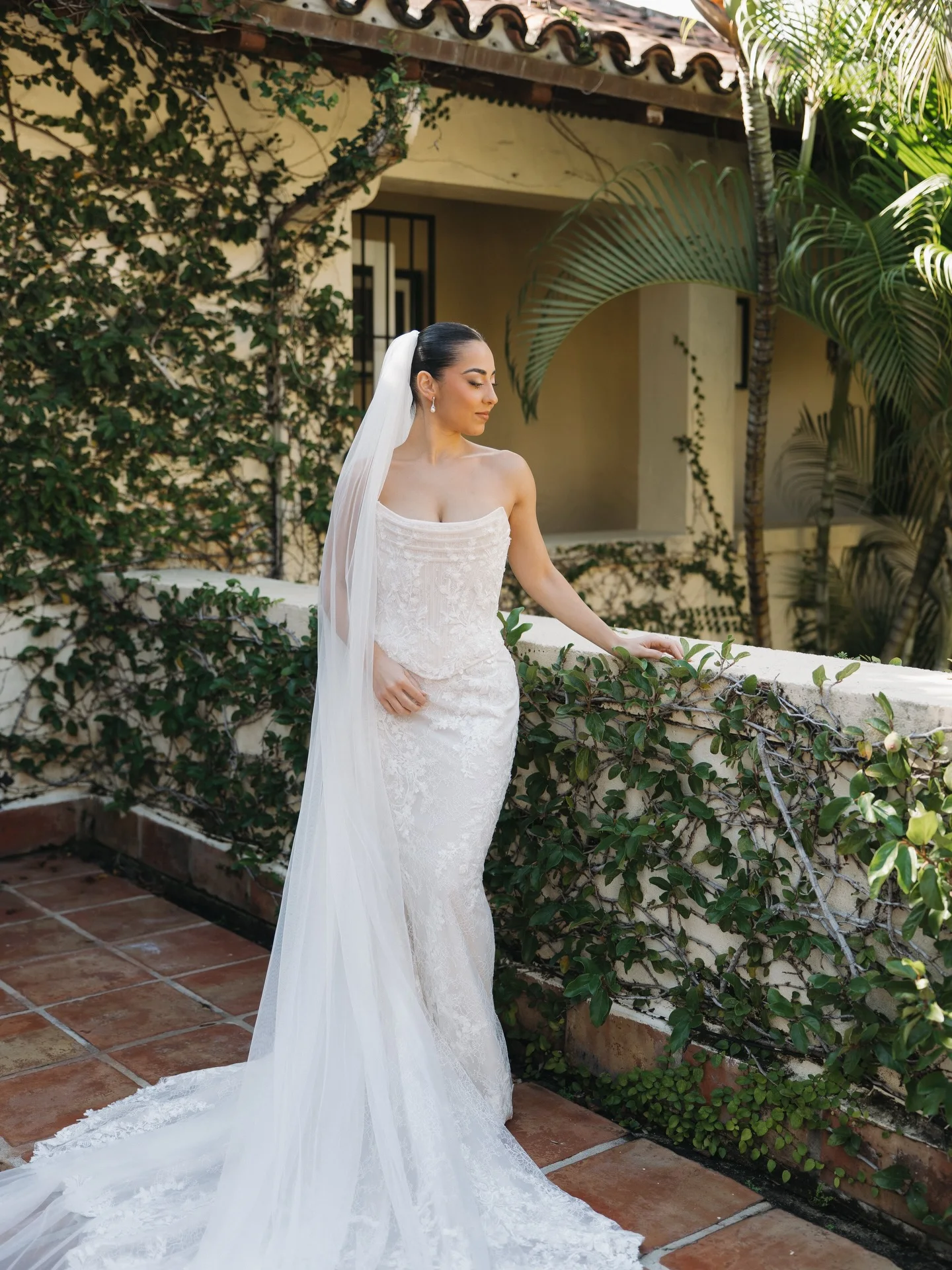 Customized Elegant Strapless Mermaid Wedding Dress Delicate Lace Appliques Bridal Gown Long Tulle Veil Slim Fit Vestido De Novia
Customized Elegant Strapless Mermaid Wedding Dress Delicate Lace Appliques Bridal Gown Long Tulle Veil Slim Fit Vestido De Novia