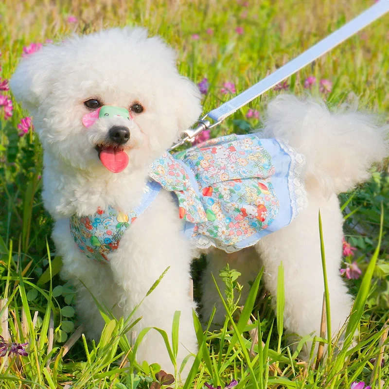 Original vest type dog leash pet chest strap small dog medium cat breathable walking leash
Original vest type dog leash pet chest strap small dog medium cat breathable walking leash