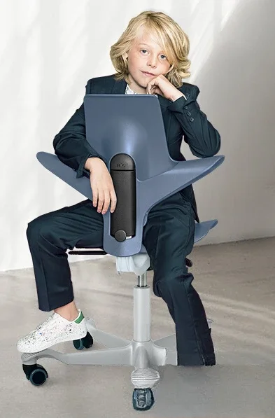 Study Chair, Desk Lifting Riding Chair Computer Chair
Study Chair, Desk Lifting Riding Chair Computer Chair