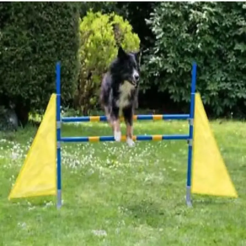 Profession FCI 2-Poles Outdoor Dog Training Jump Hurdle Bar Jump Durable Obstacles Customized for Agility Training& Competition
Profession FCI 2-Poles Outdoor Dog Training Jump Hurdle Bar Jump Durable Obstacles Customized for Agility Training& Competition