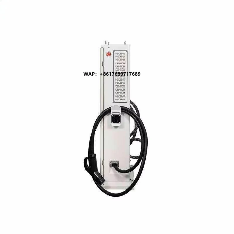 AMPPAL Floor Standing Intelligent Dual Rapid DC Vehicle China Manufacturers Electric Car Charging Stations
AMPPAL Floor Standing Intelligent Dual Rapid DC Vehicle China Manufacturers Electric Car Charging Stations