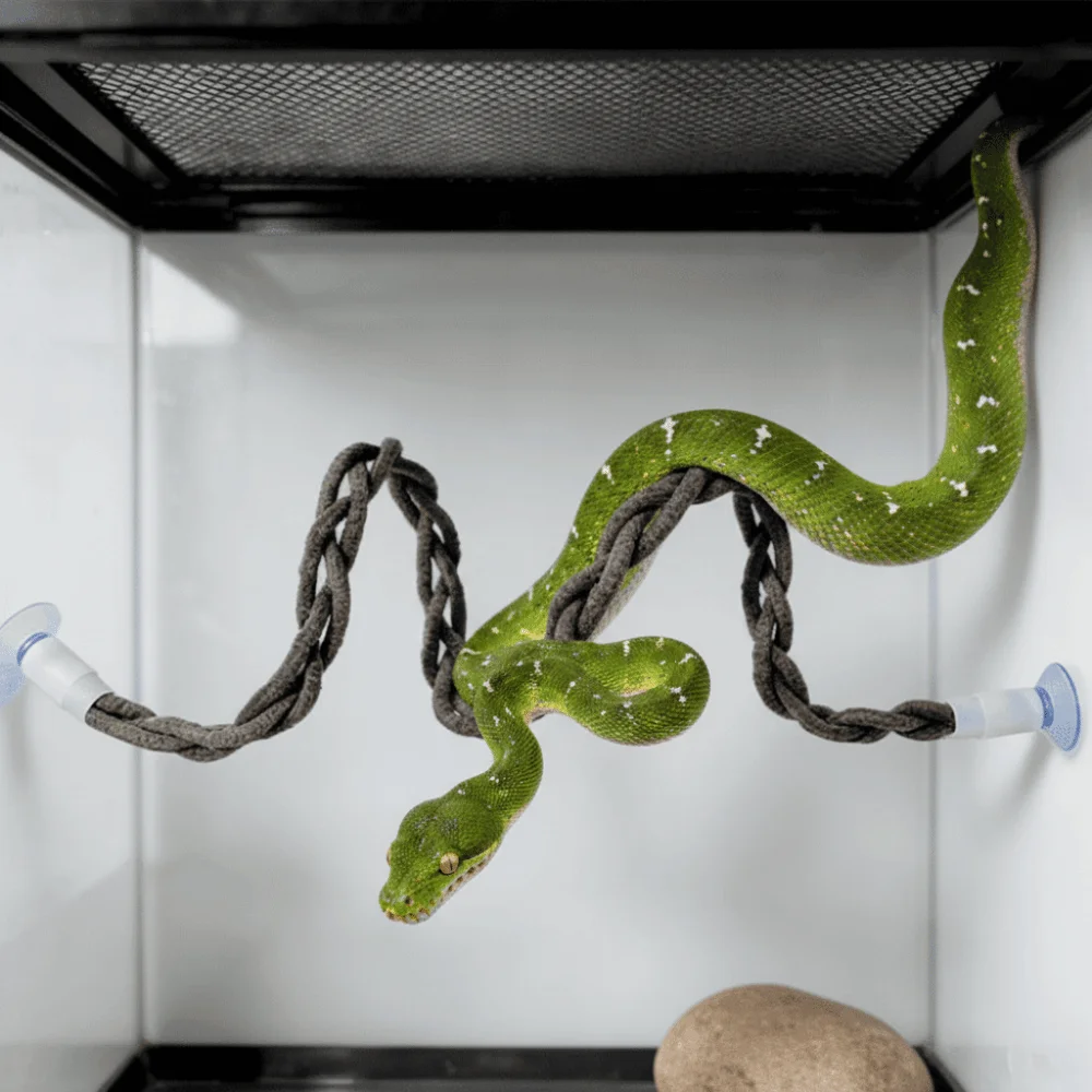Suction Cup Lizard Hammock Simulated Tree Vine Stability Snake Climbing Rope Toy Hanging Swing Reptile Vines Toys Vivarium
Suction Cup Lizard Hammock Simulated Tree Vine Stability Snake Climbing Rope Toy Hanging Swing Reptile Vines Toys Vivarium
