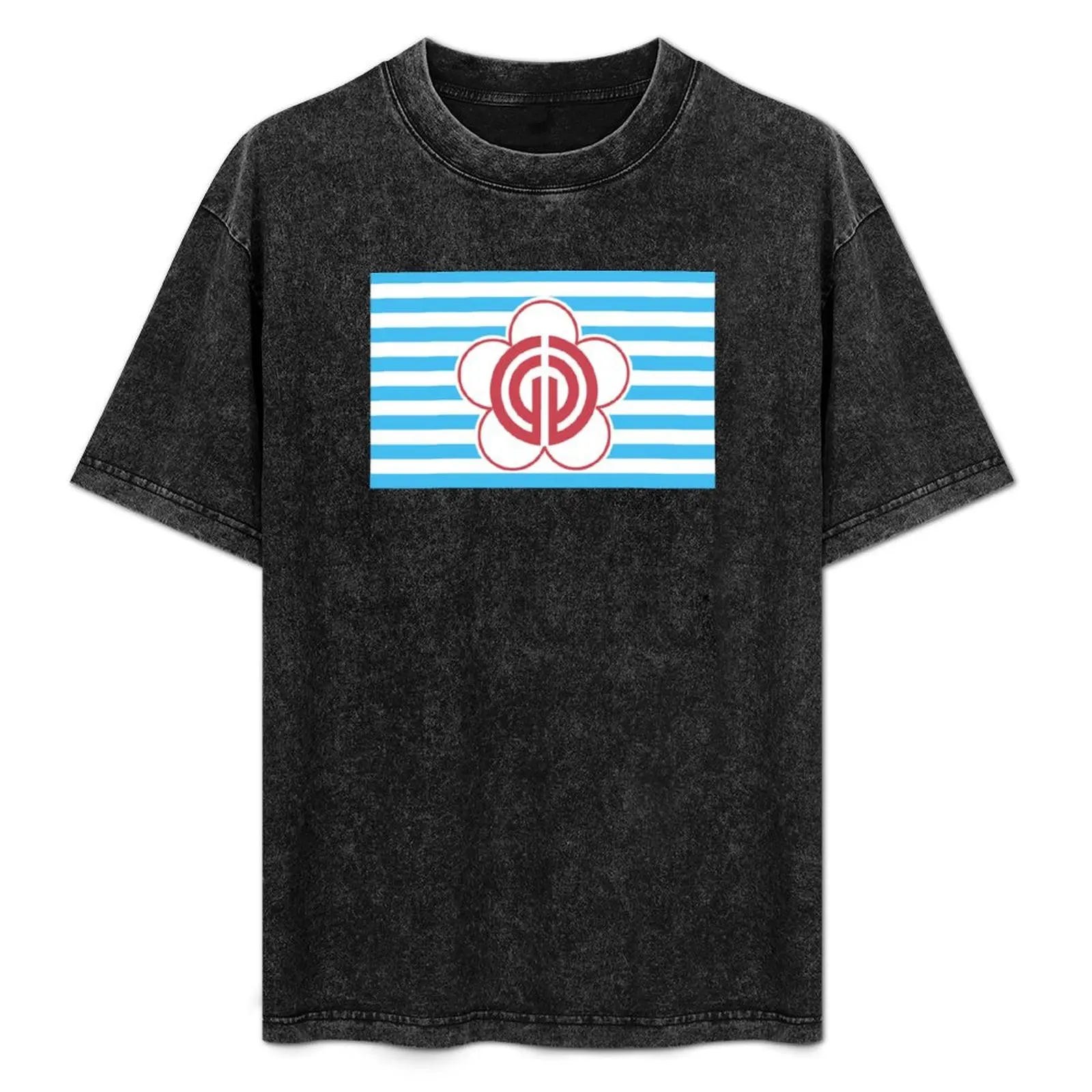 Taipei flag T-Shirt cute clothes cotton graphic tees new edition outfits for men
Taipei flag T-Shirt cute clothes cotton graphic tees new edition outfits for men
