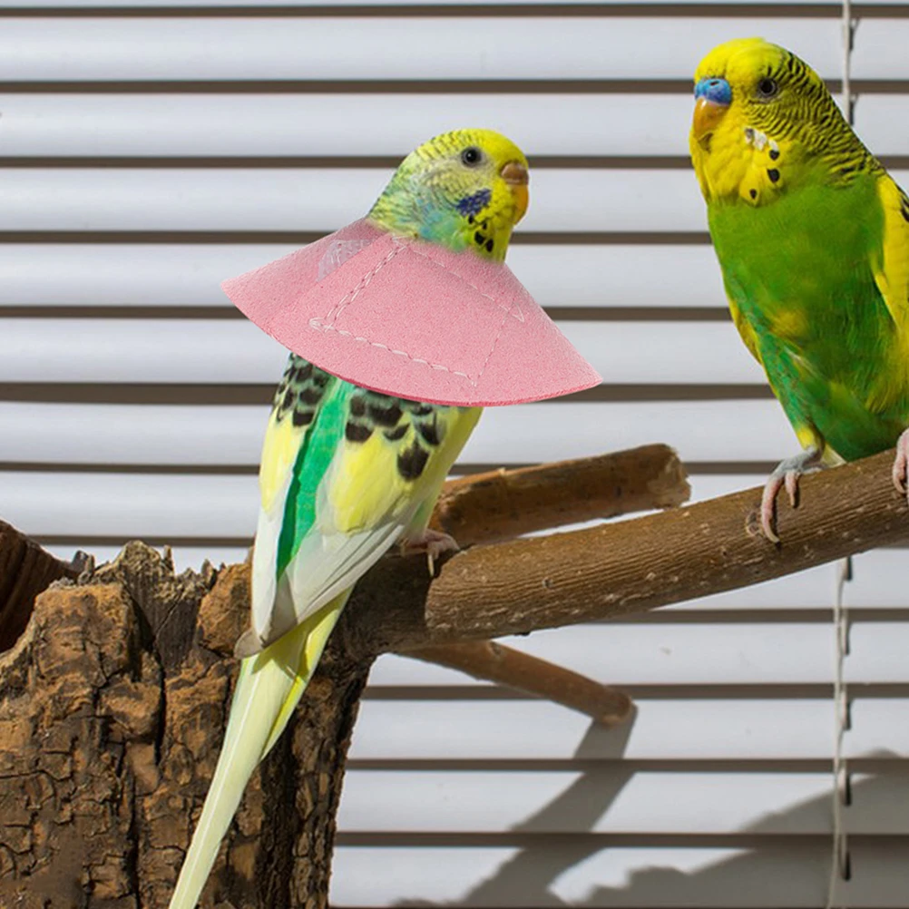 4 Pcs Parrot Protection Circle Anti Bite Collar Prevents Feather Plucking Injuries Various Sizes Safe Reliable Bird Supplies Pet
4 Pcs Parrot Protection Circle Anti Bite Collar Prevents Feather Plucking Injuries Various Sizes Safe Reliable Bird Supplies Pet