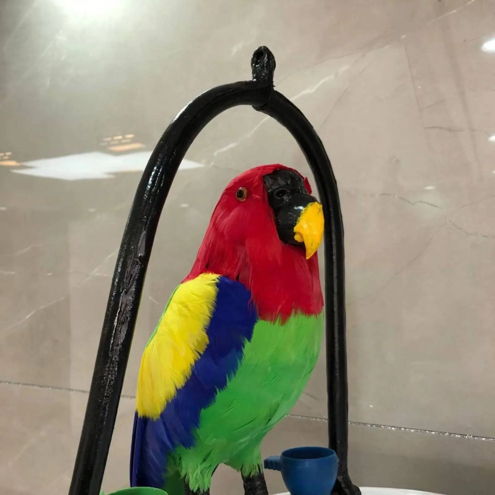Simulation Parrot Decoration Bright Hues Creature Figurine House Decoration Artisanal for Garden, Patio
Simulation Parrot Decoration Bright Hues Creature Figurine House Decoration Artisanal for Garden, Patio