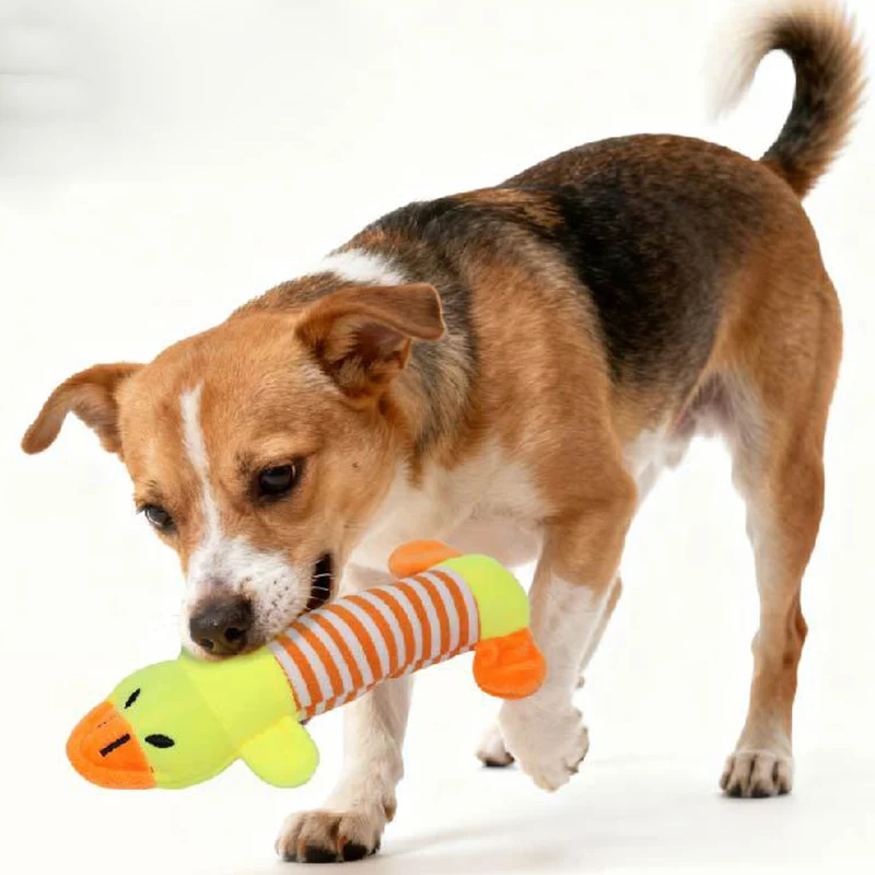 Pig Elephant Design Durable Interactive Dog Toy - Squeaky Chew Toy for Aggressive Chewers - Long-Lasting Pet Supplies
Pig Elephant Design Durable Interactive Dog Toy - Squeaky Chew Toy for Aggressive Chewers - Long-Lasting Pet Supplies
