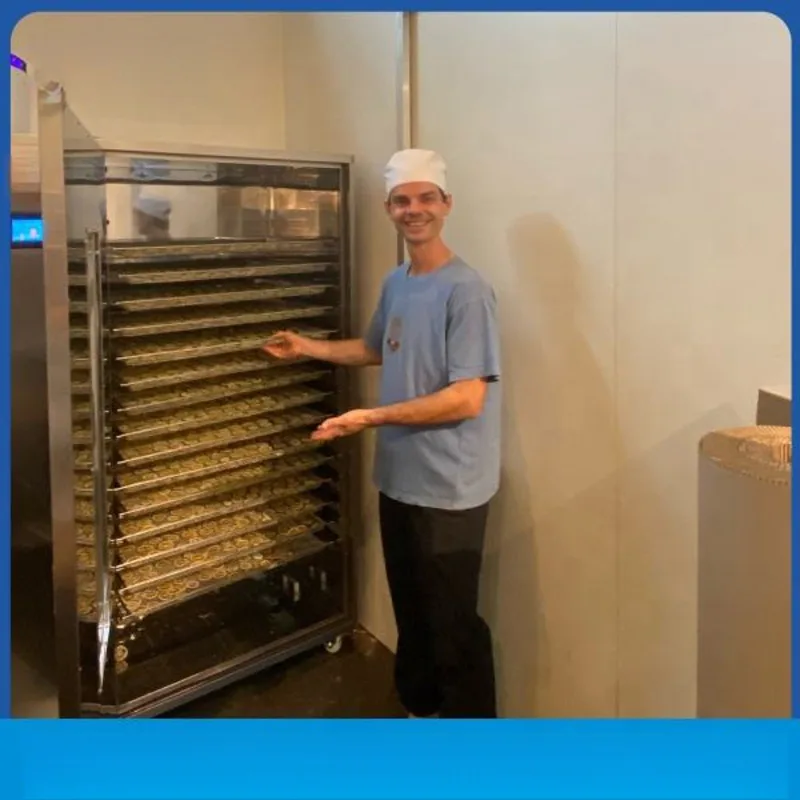 100B Industrial Food Drying Equipment Fruit And Vegetable Dryer
100B Industrial Food Drying Equipment Fruit And Vegetable Dryer