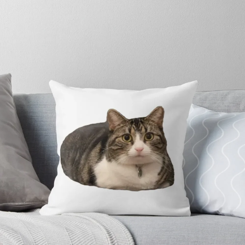loafing dootie Throw Pillow Bed pillowcases Decorative Cushions For Living Room pillow
loafing dootie Throw Pillow Bed pillowcases Decorative Cushions For Living Room pillow