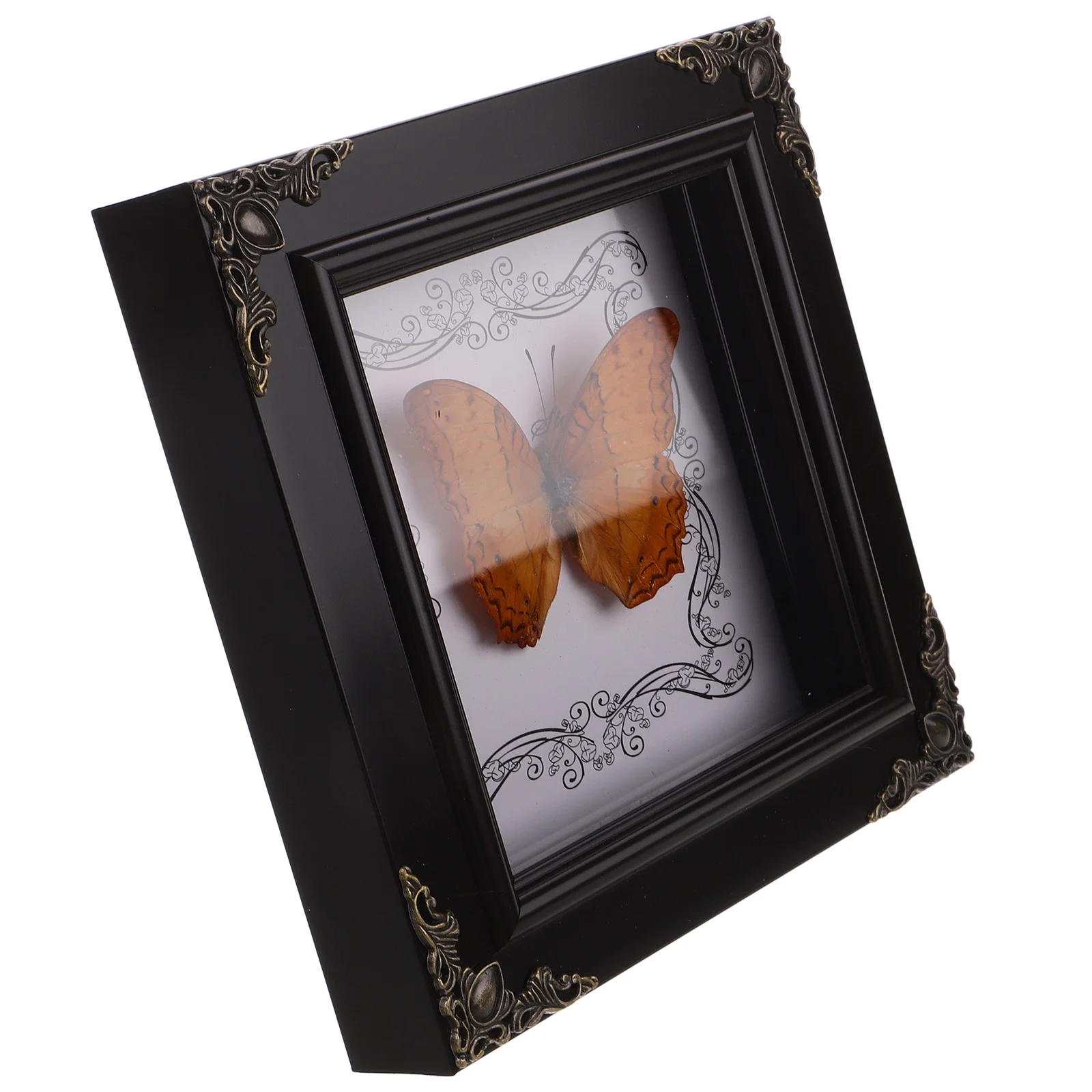 Butterfly Specimen Photo Frame Desk Ornaments Framed Home Decorations Display Case Frames Picture Specimens Wooden Stand
Butterfly Specimen Photo Frame Desk Ornaments Framed Home Decorations Display Case Frames Picture Specimens Wooden Stand