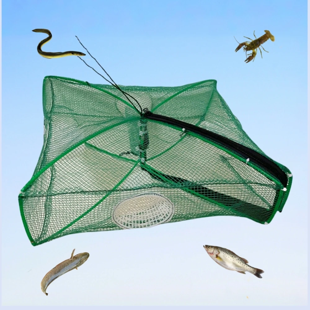 Automatic Folding Shrimp Fish Trap Catching Eels Fishing Nets Collapsible Fish Traps For Crabs Foldable Fishing Pot Nets Lightly
Automatic Folding Shrimp Fish Trap Catching Eels Fishing Nets Collapsible Fish Traps For Crabs Foldable Fishing Pot Nets Lightly
