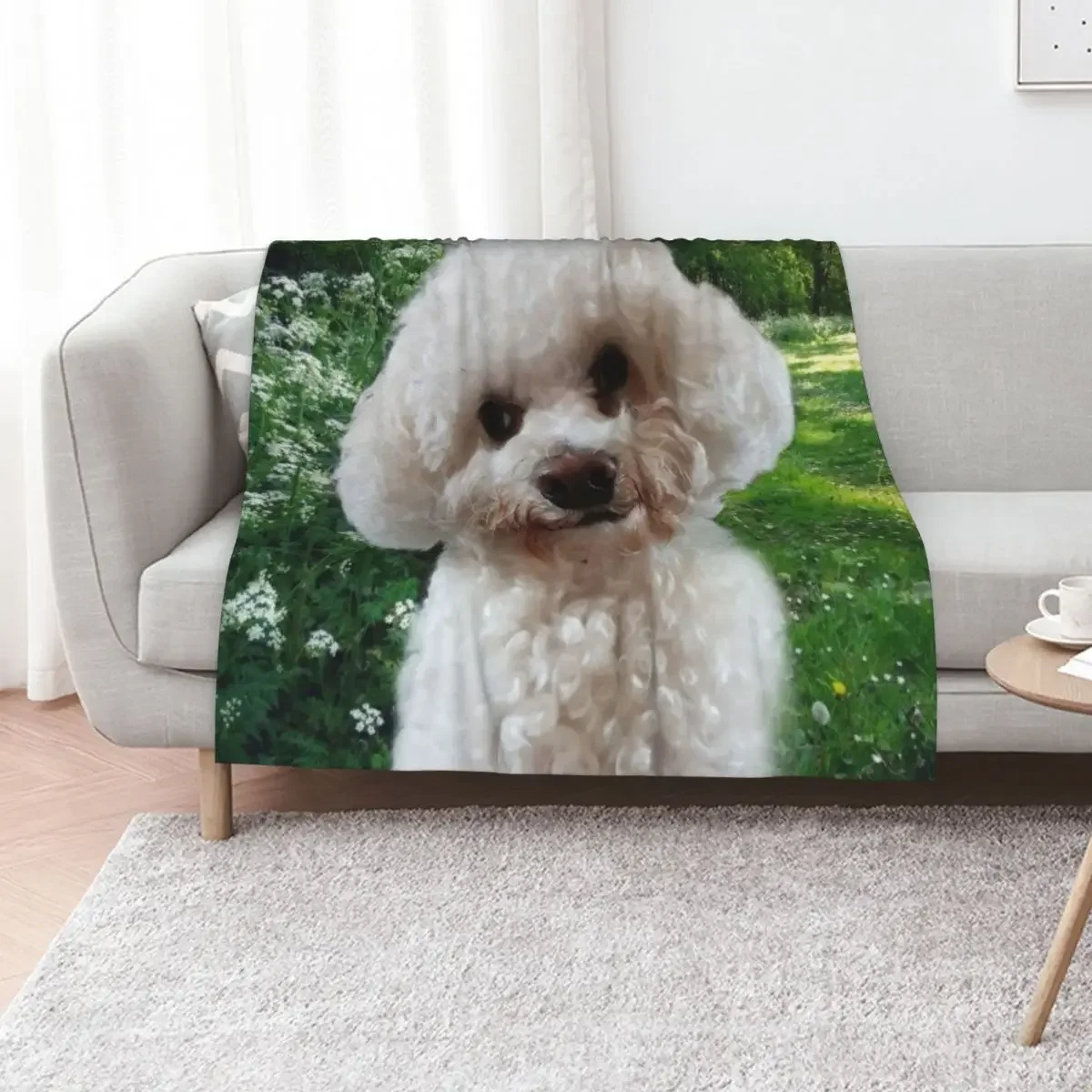 Cavachon Throw Blanket decorative Cute Plaid Bed linens blankets ands Blankets
Cavachon Throw Blanket decorative Cute Plaid Bed linens blankets ands Blankets