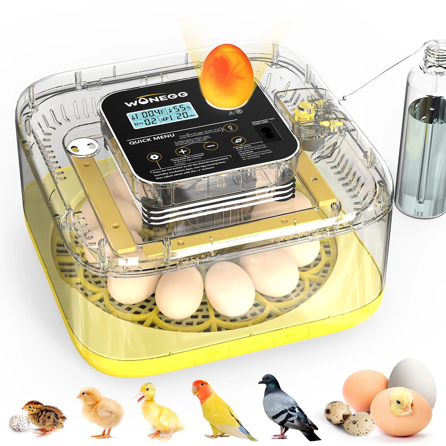 12-24 Egg Incubator for Hatching Eggs with Auto Turn, Temp & Humidity Control, Built-in Candler Large Capacity Egg Incu
12-24 Egg Incubator for Hatching Eggs with Auto Turn, Temp & Humidity Control, Built-in Candler Large Capacity Egg Incu